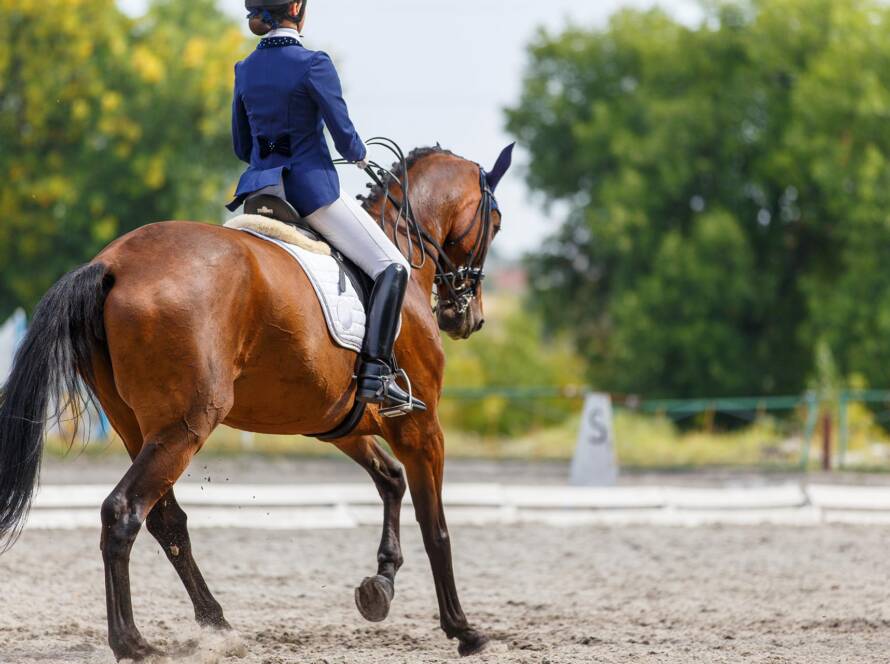 Riding Apparel