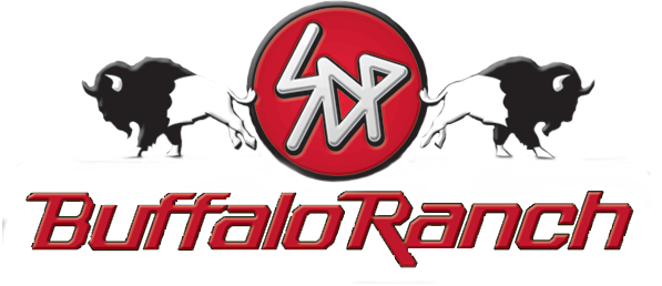 SDP Games Leaderboard