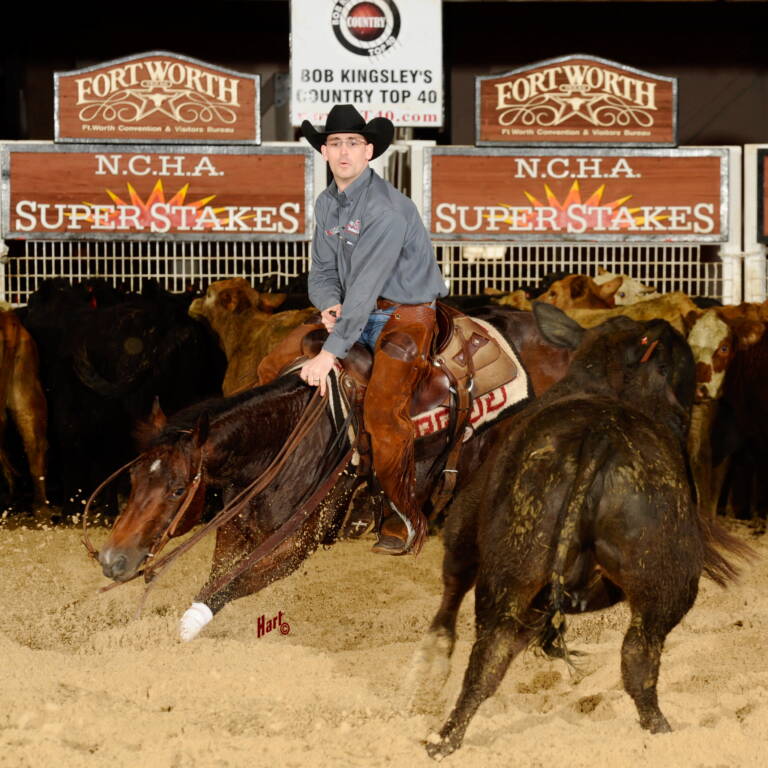 SDP Hicapoo Cat - Brett McGlothlin - 2015 NCHA Super Stakes D O