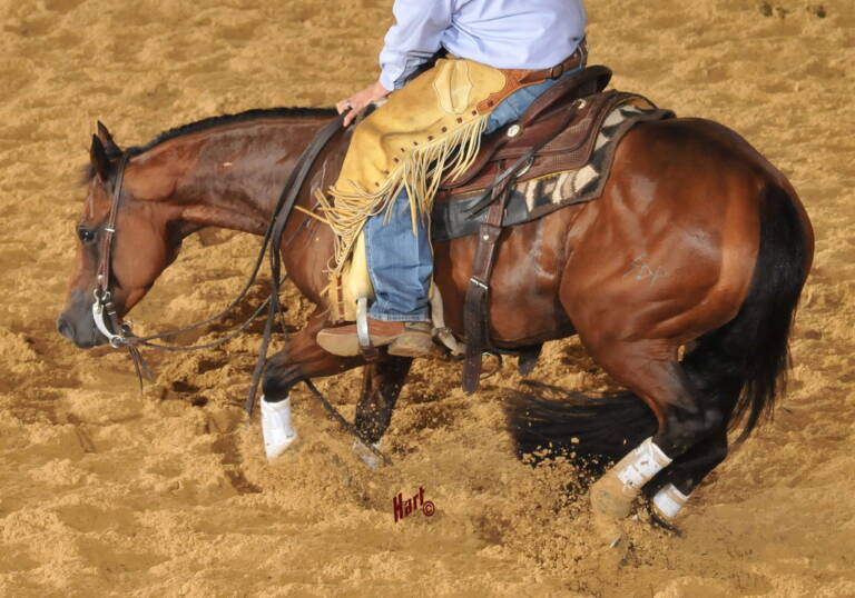 SDP Hicapoo Cat - Scott Wray - 2015 NCHA Derby Open Ltd Res CHAMP – Version 3