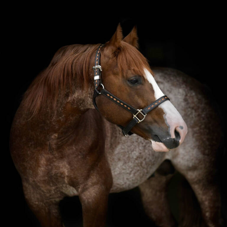 SHOOGA REY LEONARD01