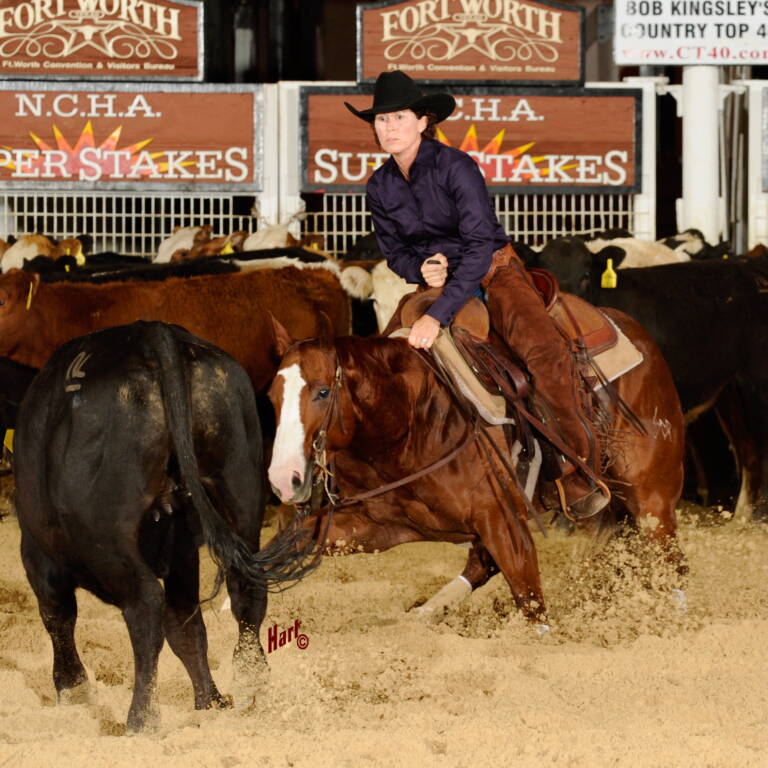 Swing Thru The Drive - Mary Ann Rapp - 2015 NCHA Super Stakes C NP 3rd