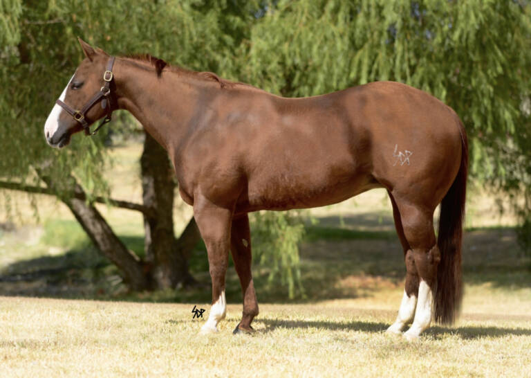 Swing Thru the Drive1