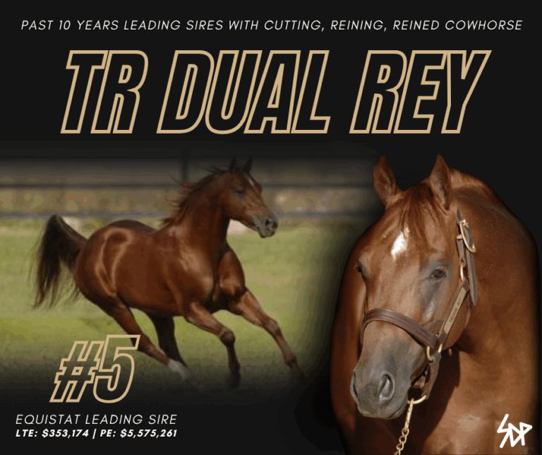 TR DUAL REY