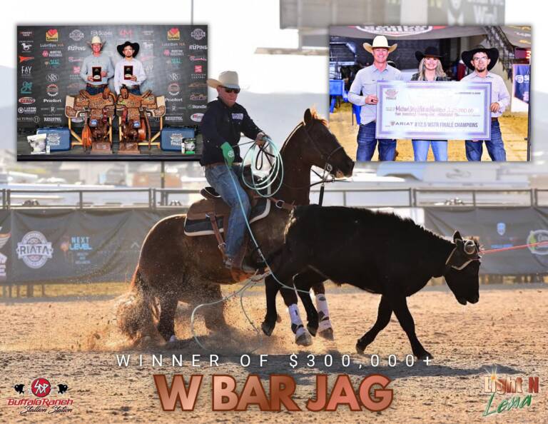 W BAR JAG