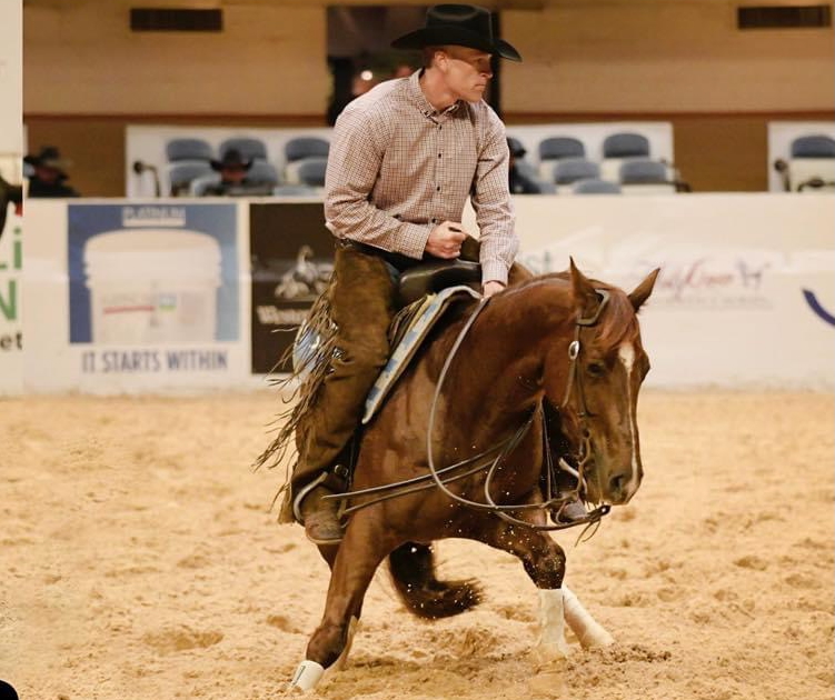 SDP Chillish - Futurity