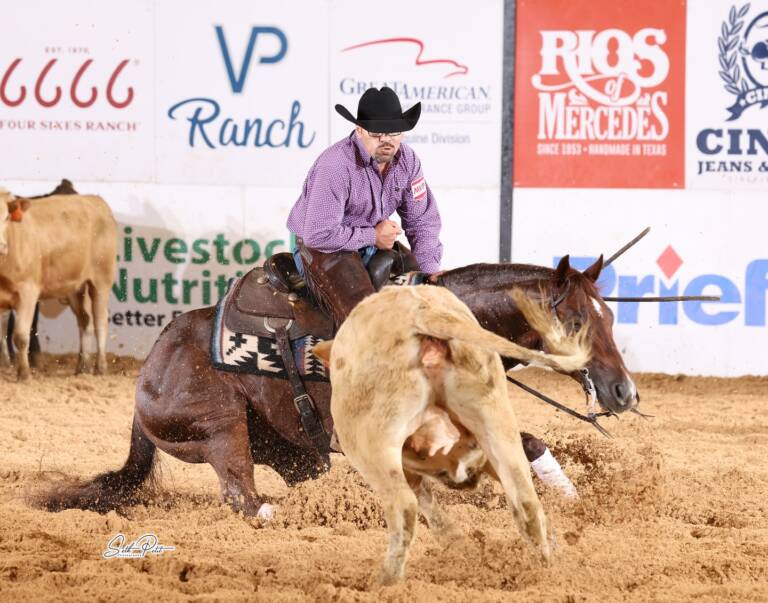 504041067_17864841321419723_8038574021464029270_n