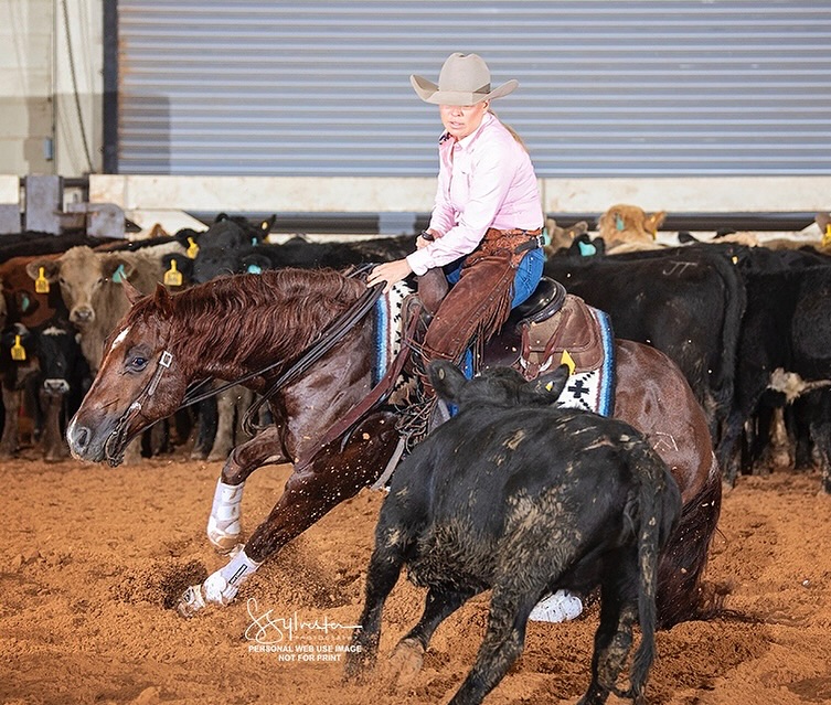 544129767_17874025479419723_4801675196937899187_n